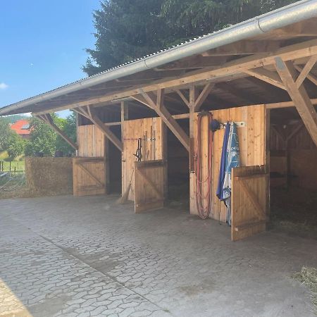 Luises Ferienglueck Apartamento Vernawahlshausen Exterior foto